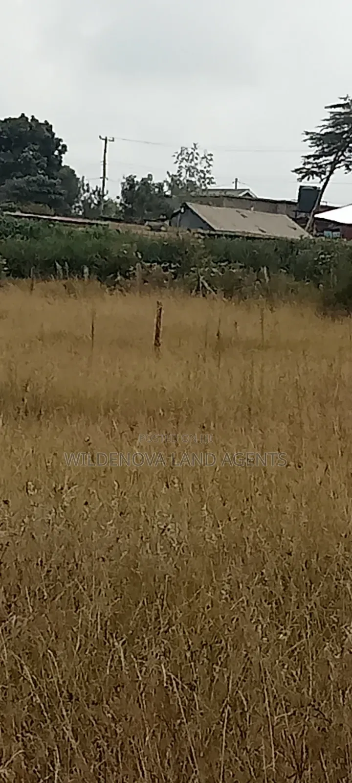 1.5acre on Sale at Ndeiya Limuru Kiambu County
