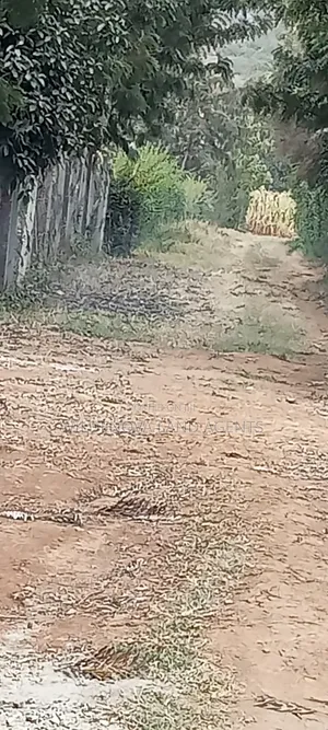 1.5acre on Sale at Ndeiya Limuru Kiambu County