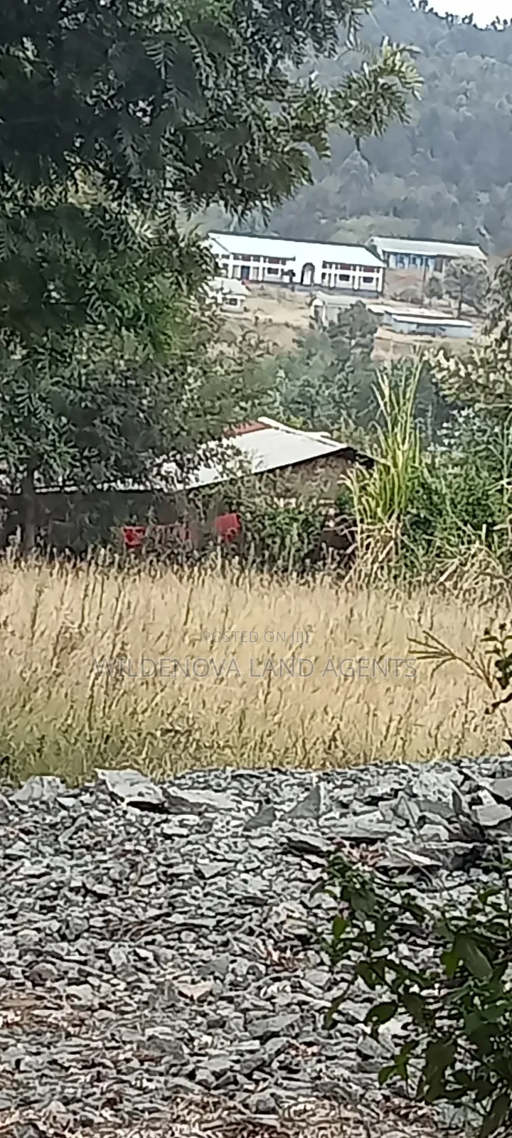 1.5acre on Sale at Ndeiya Limuru Kiambu County