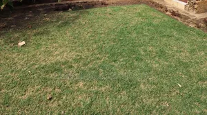 Redhill Lower Kabete Jv 16 Acres