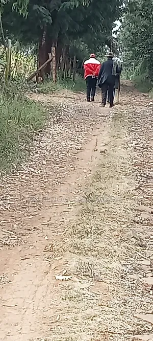 1.5acre on Sale at Ndeiya Limuru Kiambu County
