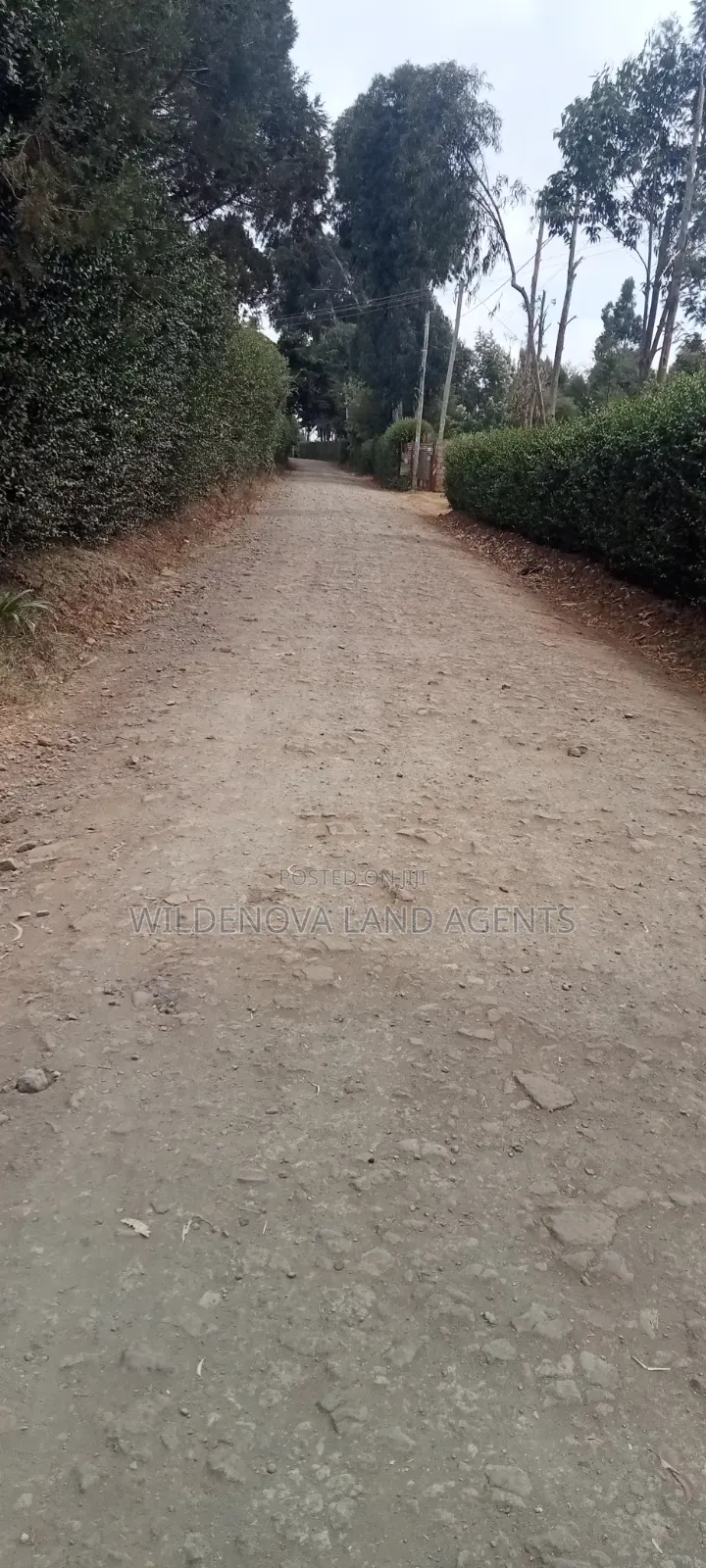 1.5acre on Sale at Ndeiya Limuru Kiambu County