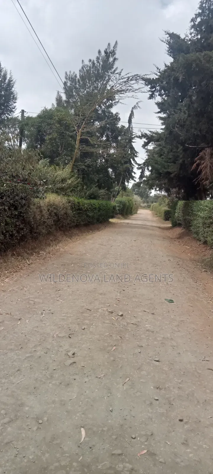1.5acre on Sale at Ndeiya Limuru Kiambu County