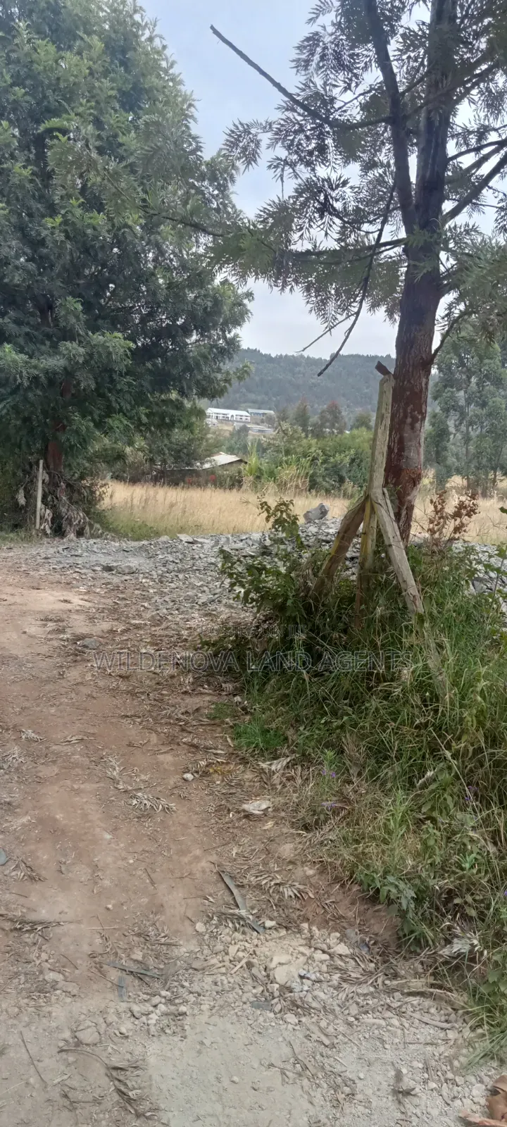 1.5acre on Sale at Ndeiya Limuru Kiambu County