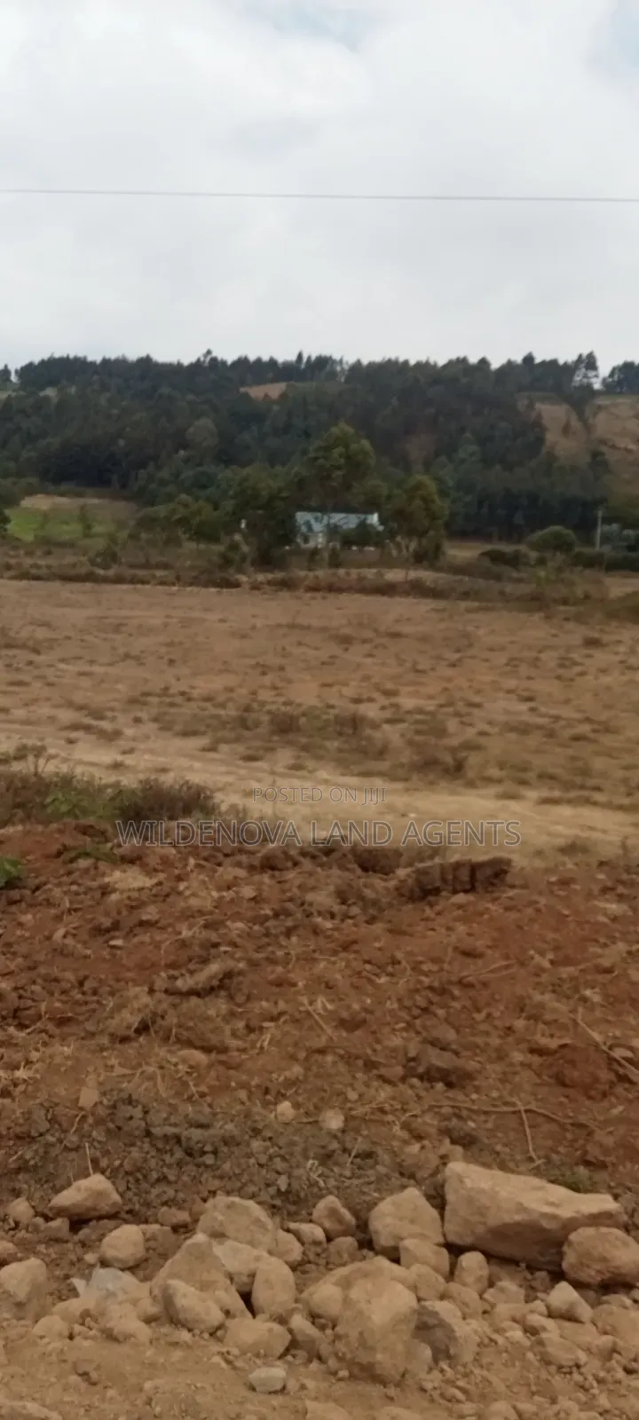 1.5acre on Sale at Ndeiya Limuru Kiambu County