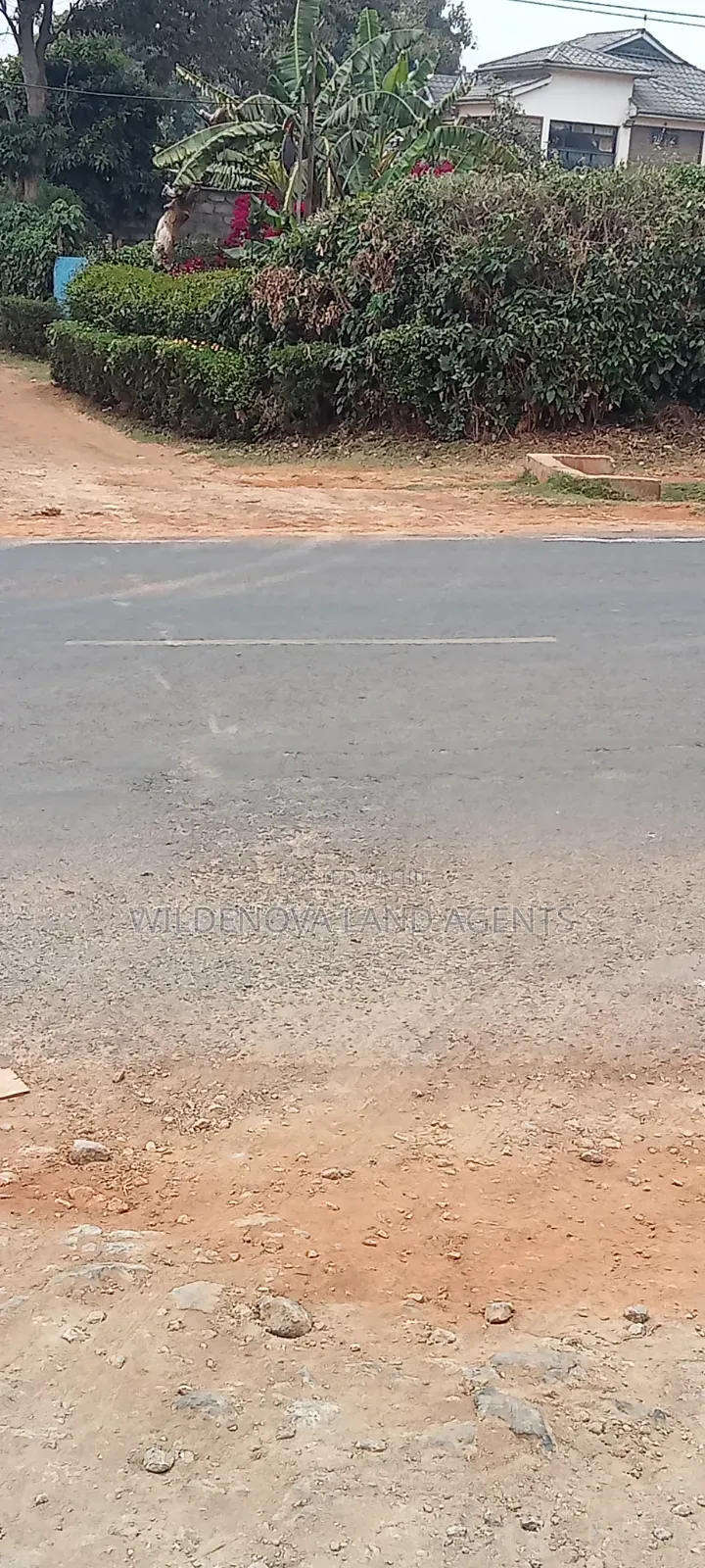 1.5acre on Sale at Ndeiya Limuru Kiambu County