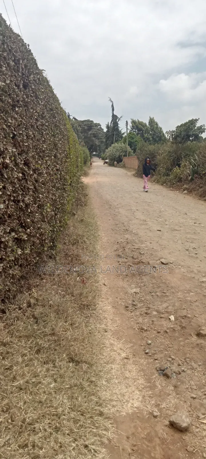 1.5acre on Sale at Ndeiya Limuru Kiambu County
