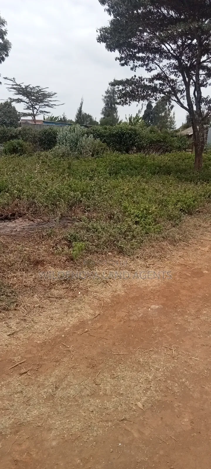 1.5acre on Sale at Ndeiya Limuru Kiambu County