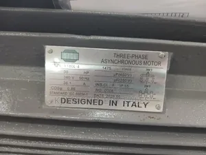 30hp Electric Motor
