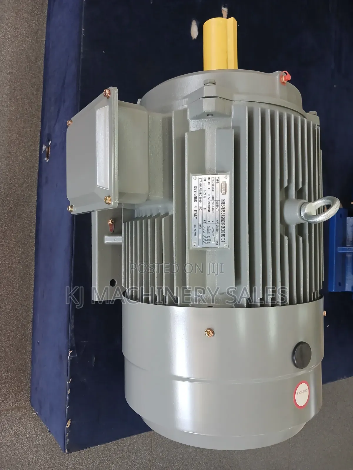 30hp Electric Motor