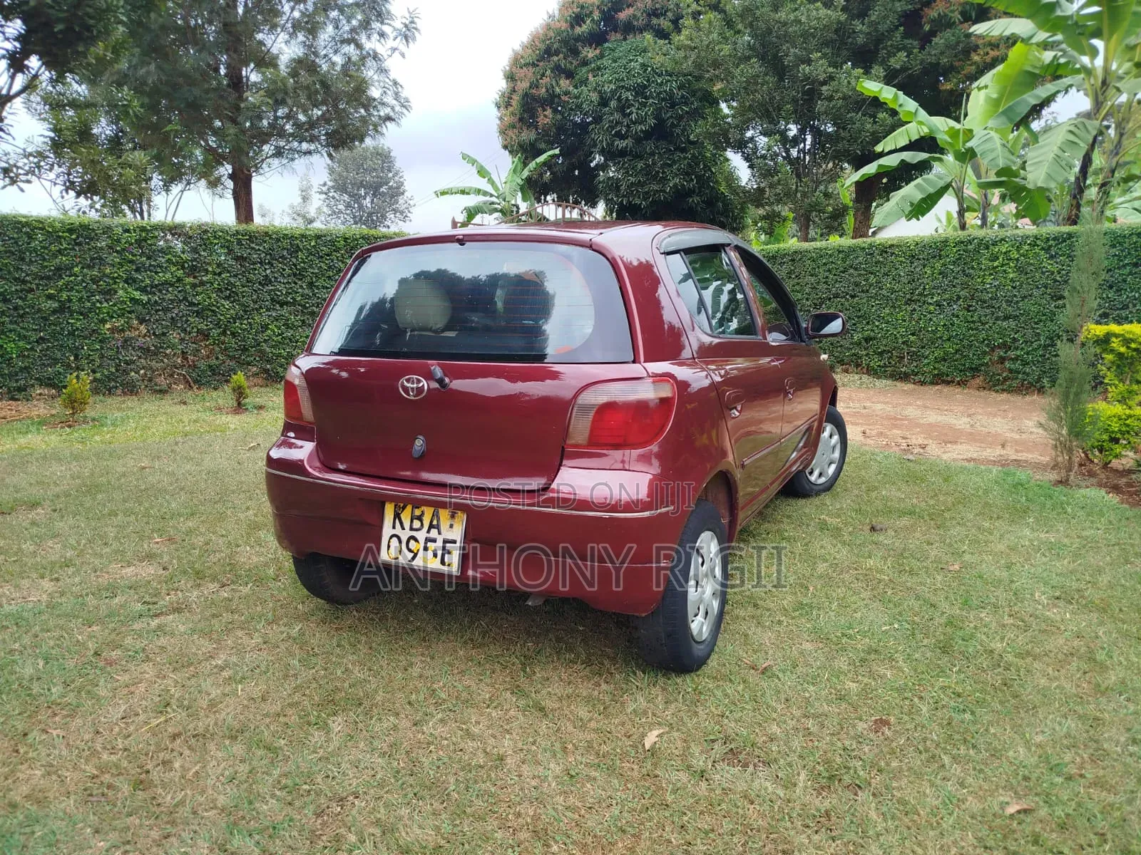Toyota Vitz 2001 Burgundy