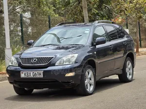 Lexus RX 2006 Gray