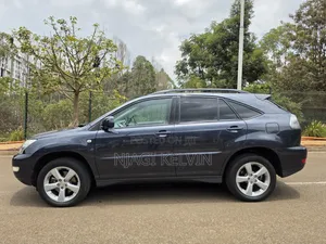 Lexus RX 2006 Gray