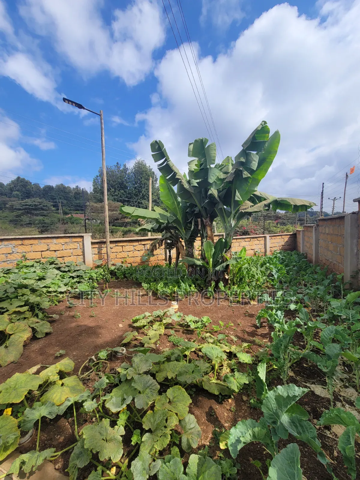 3bdrm Bungalow in Ngong CBD for rent