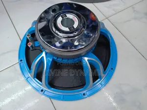 Naked Speaker Derwel 15" De 600