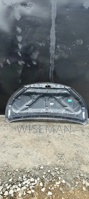 Toyota Voxy Bonnet