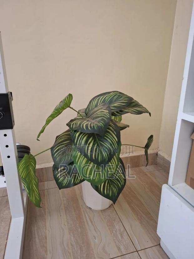 Artifical Plant - thumbnail 4