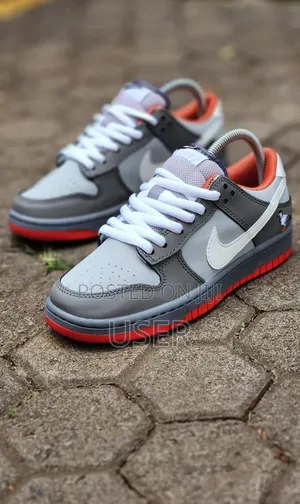 Nike Sb Pigeon