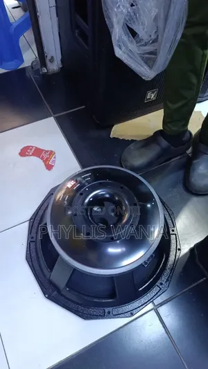 PD 1880 Bass Speaker