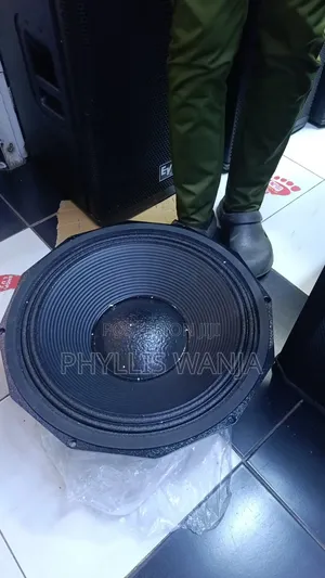 PD 1880 Bass Speaker