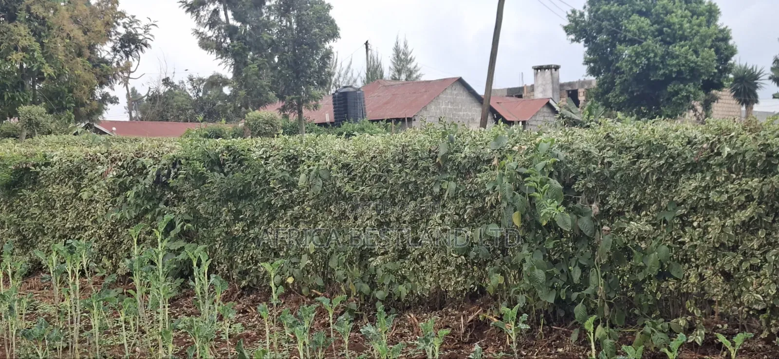 60×100 Residential Plot for Sale – Ngecha Ring’ati B