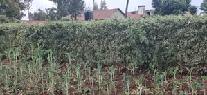 60×100 Residential Plot for Sale – Ngecha Ring’ati B