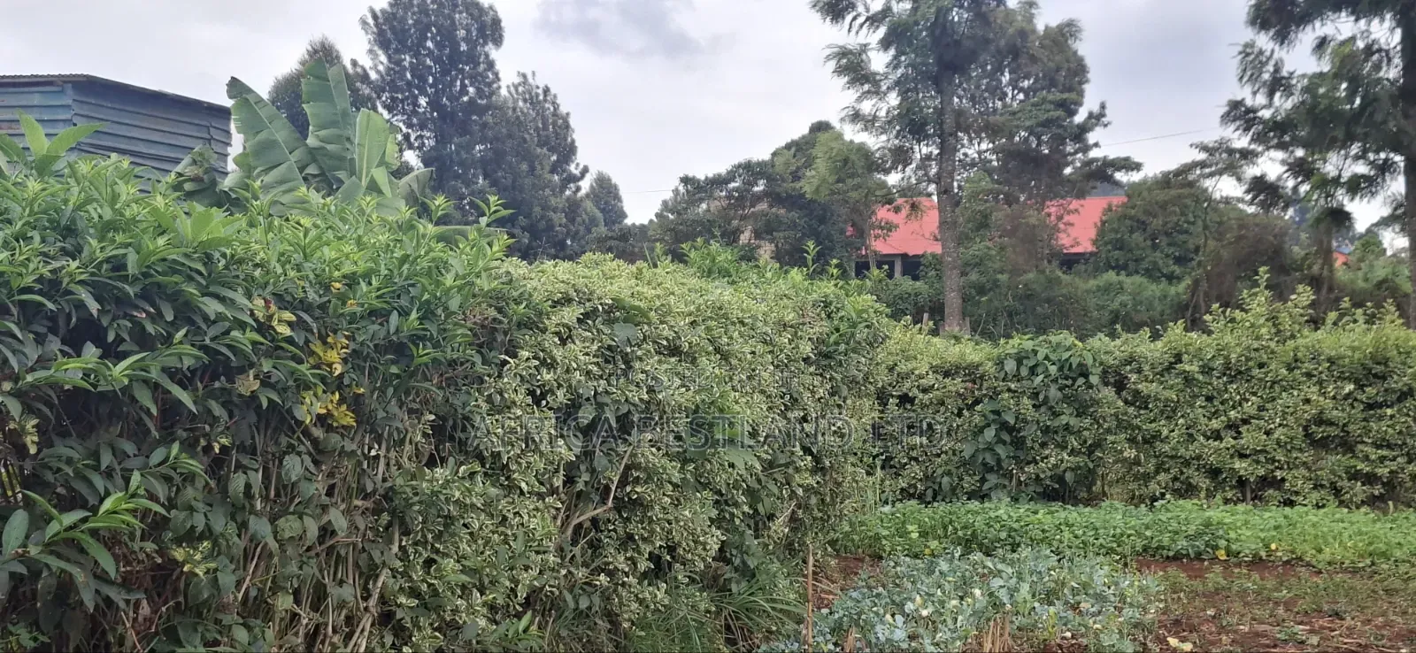 60×100 Residential Plot for Sale – Ngecha Ring’ati B