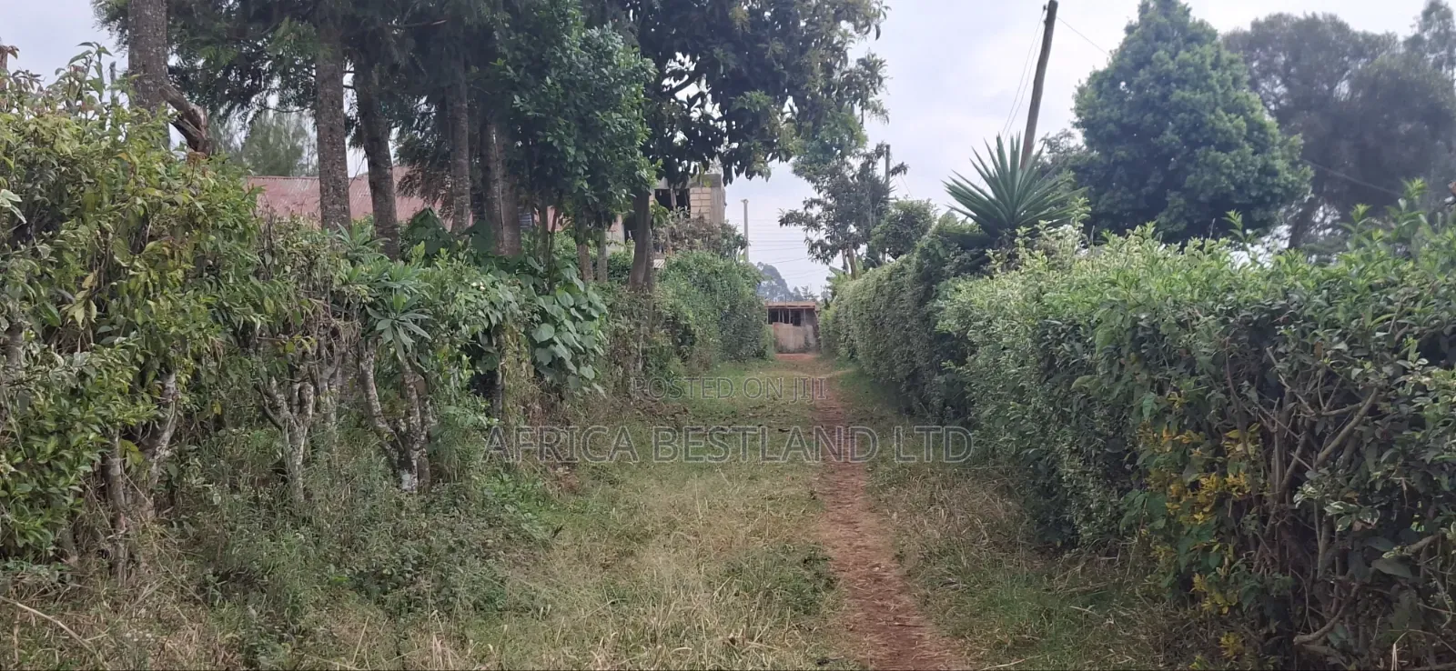 60×100 Residential Plot for Sale – Ngecha Ring’ati B