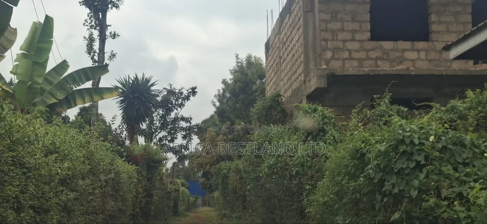 60×100 Residential Plot for Sale – Ngecha Ring’ati B