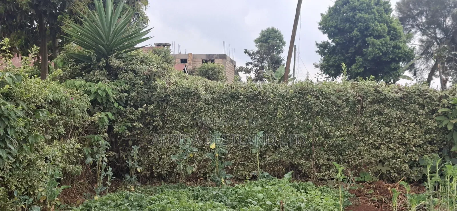 60×100 Residential Plot for Sale – Ngecha Ring’ati B