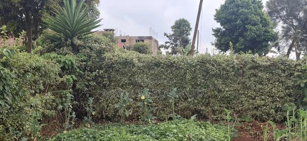 60×100 Residential Plot for Sale – Ngecha Ring’ati B - thumbnail 8