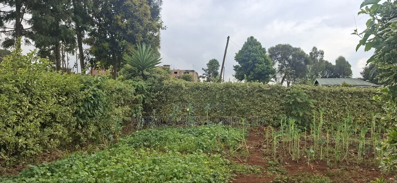 60×100 Residential Plot for Sale – Ngecha Ring’ati B
