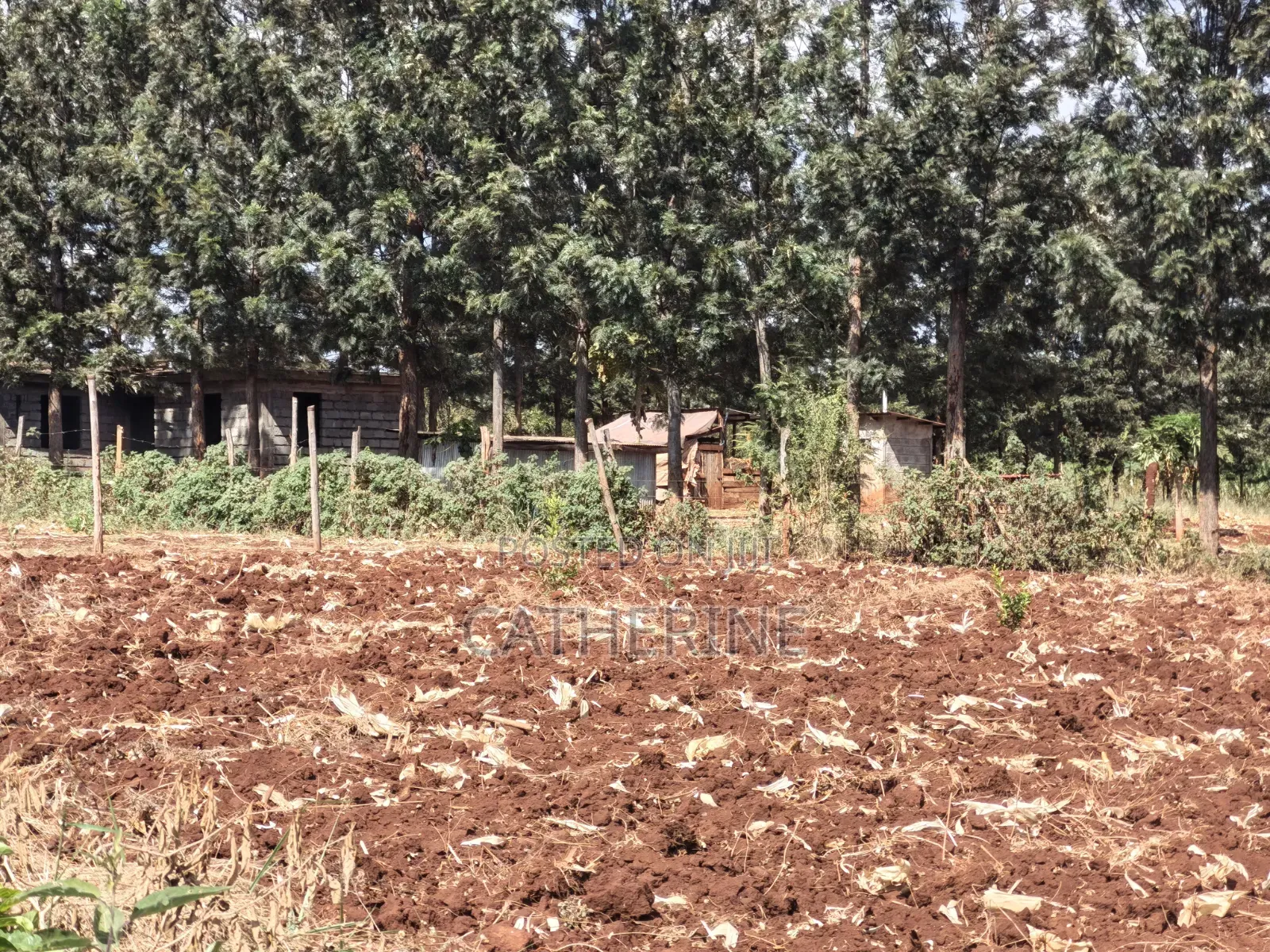 Murang'a Kabirwa Mirira Plot