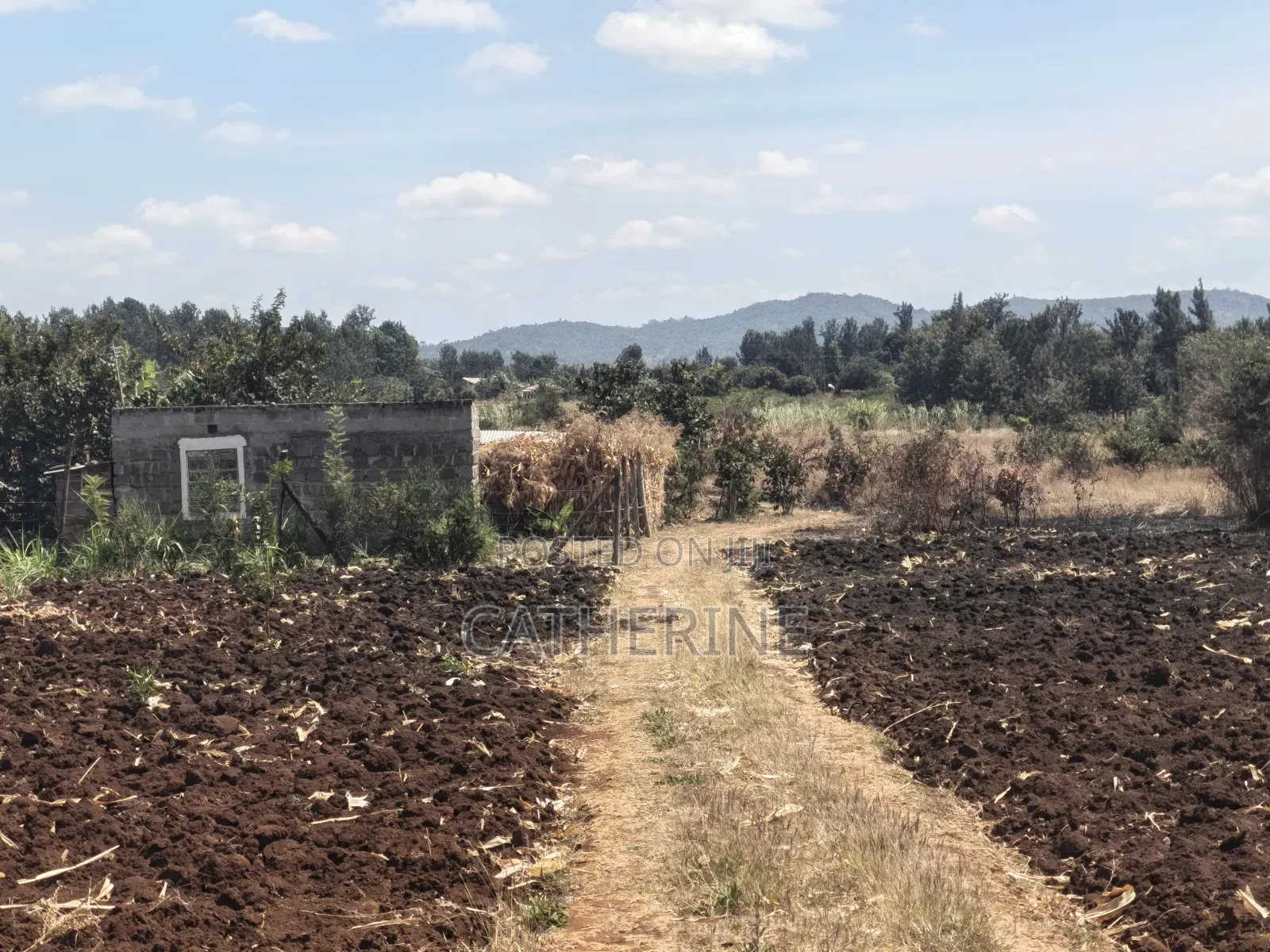 Murang'a Kabirwa Mirira Plot