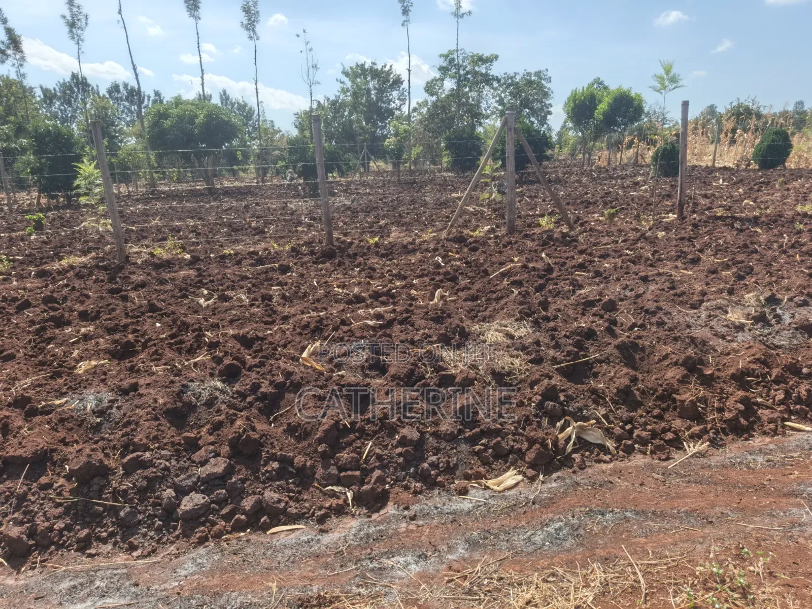 Murang'a Kabirwa Mirira Plot