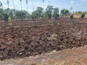 Murang'a Kabirwa Mirira Plot