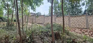 50×100 Plot for Sale – Kamuguga, Next to Zambezi