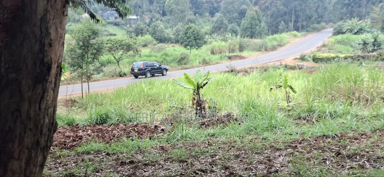 50×100 Plot for Sale – Kamuguga, Next to Zambezi