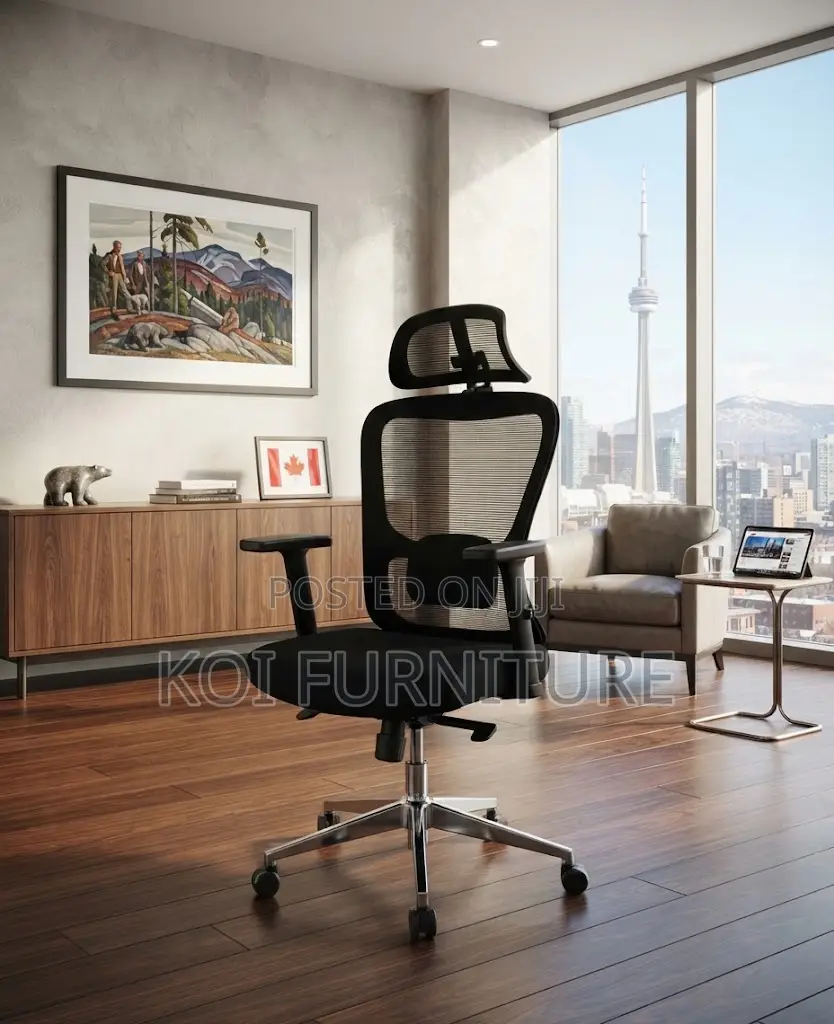 Office Chairs; Ergonomic Modern Offices Seniors Chair