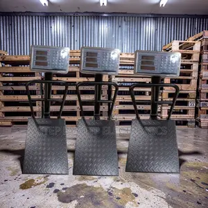 Easy Handling 100Kgs,150Kgs,300Kgs Digital Platform Weighing Scales