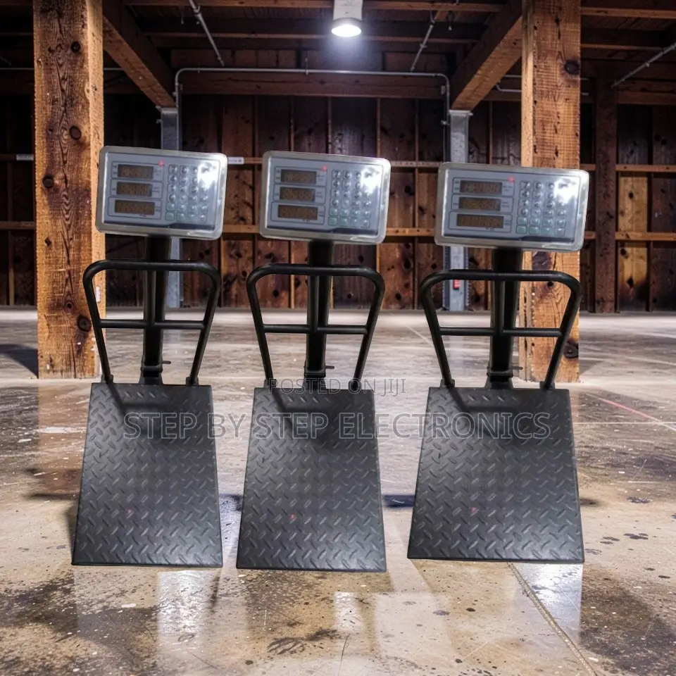 Easy Setup 100Kgs,150Kgs,300Kgs Digital Platform Weighing Scales