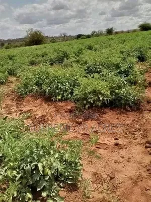 1000 Acres of Land for Lease Along the River in Makueni County Kenya