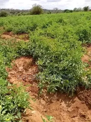 1000 Acres of Land for Lease Along the River in Makueni County Kenya