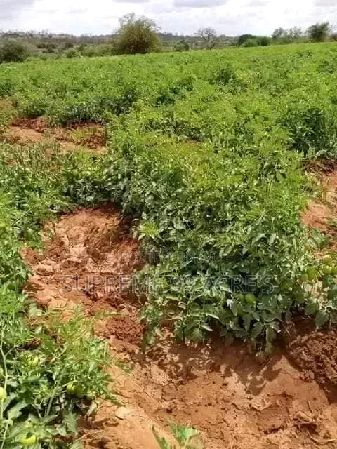 1000 Acres of Land for Lease Along the River in Makueni County Kenya