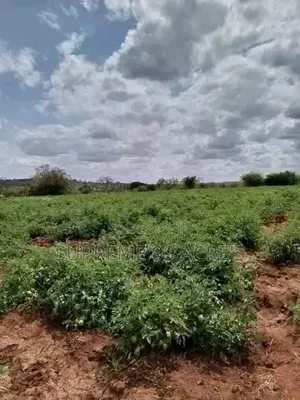1000 Acres of Land for Lease Along the River in Makueni County Kenya