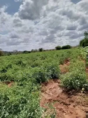 1000 Acres of Land for Lease Along the River in Makueni County Kenya