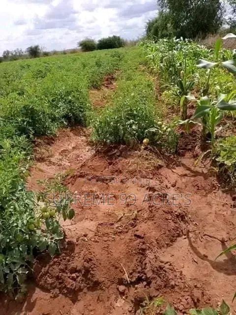 1000 Acres of Land for Lease Along the River in Makueni County Kenya