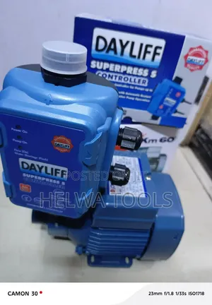 Pedroll 0.5 HP + Automatic Pressure Control Dayliff