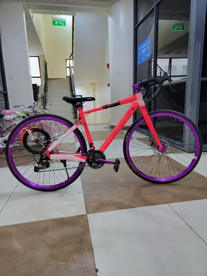 Senidas Racing Bike