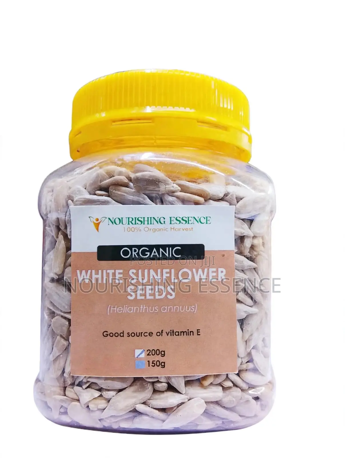 White Sunflower Seeds